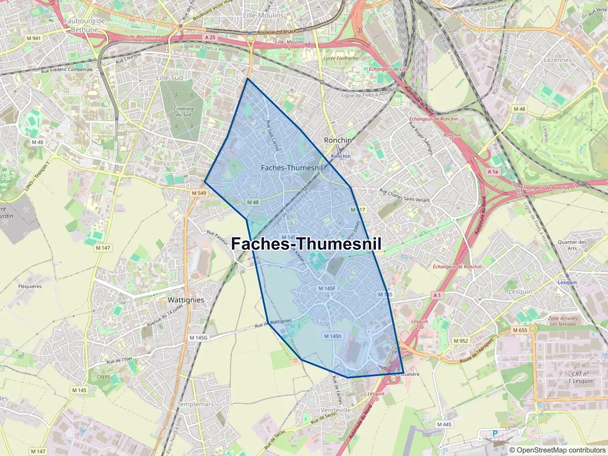 Carte de Faches-Thumesnil (Nord)