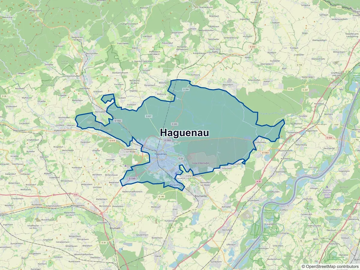 Carte de Haguenau (Bas-Rhin)