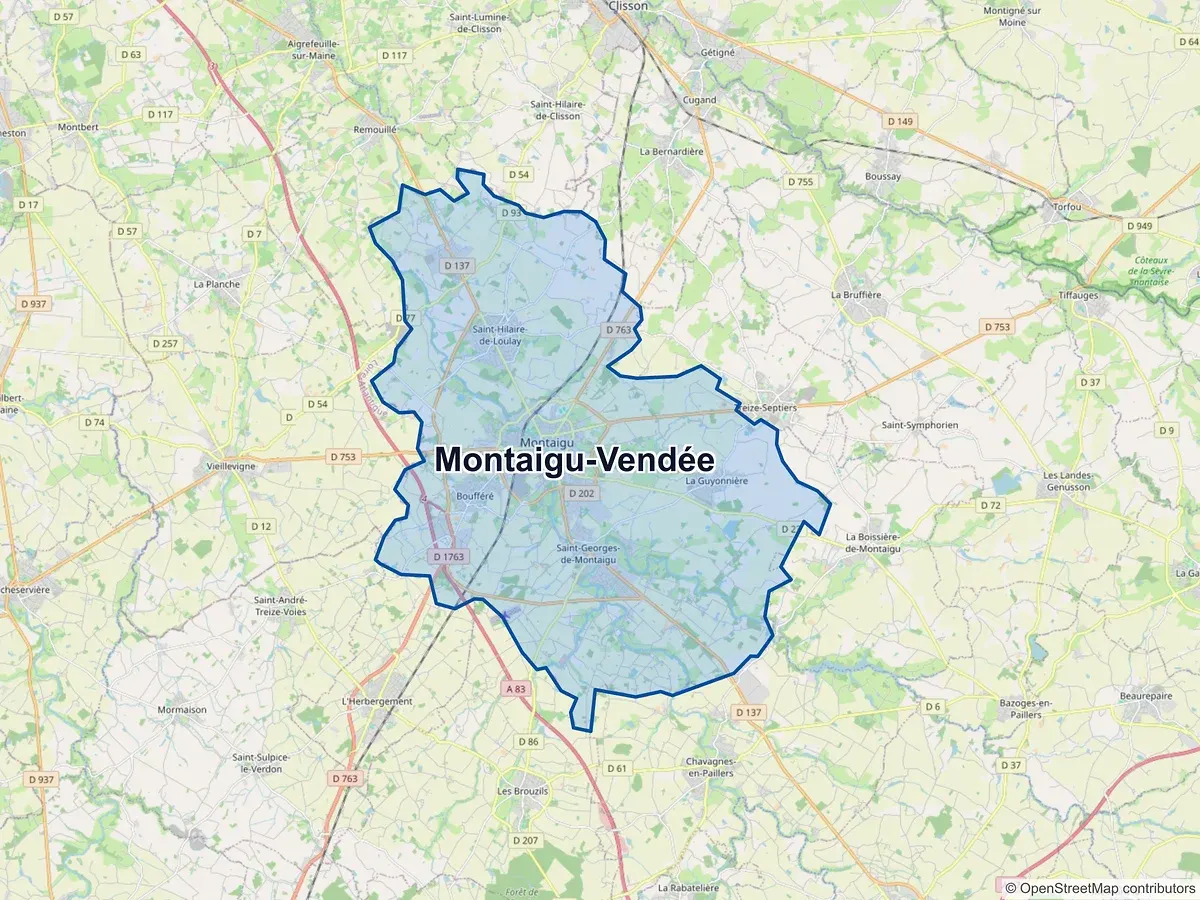 Carte de Montaigu-Vendée (Vendée)