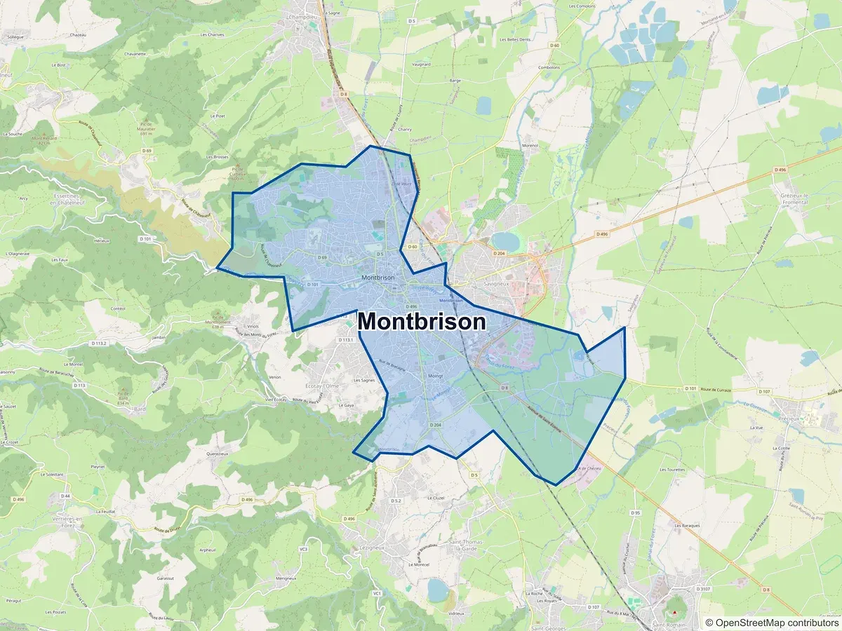 Carte de Montbrison (Loire)