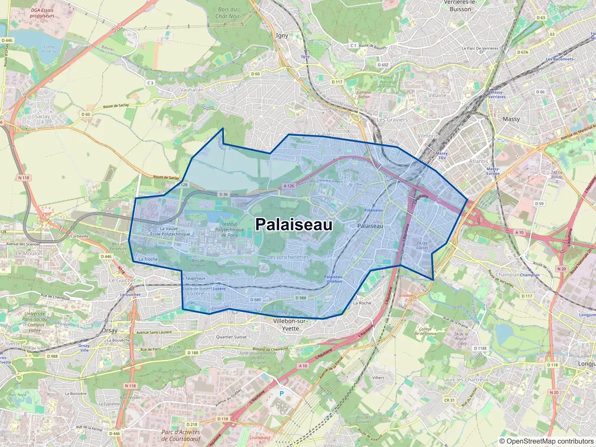 Carte de Palaiseau (Essonne)