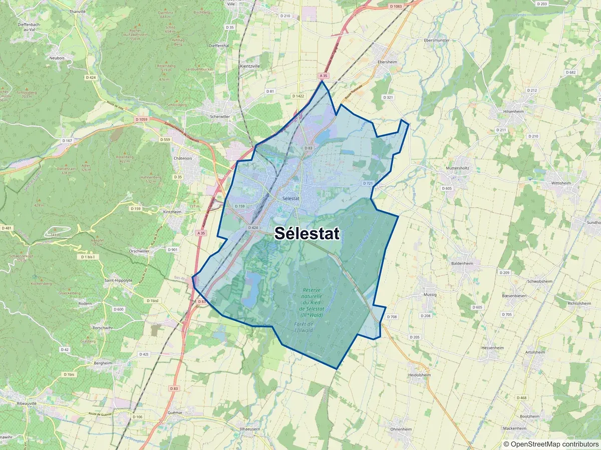 Carte de Sélestat (Bas-Rhin)