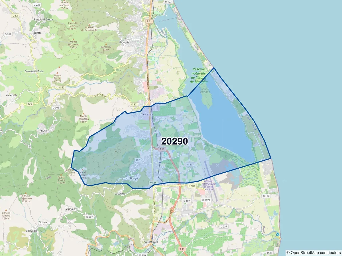 Carte du code postal 20290 (BORGO)